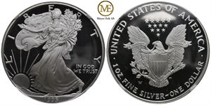 Silver Eagle 1995 - W. PF 69 Ultra Cameo