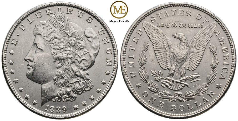 Morgan dollar 1889. Kv.0/01