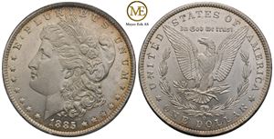 Morgan dollar 1885 o. Kv.0/01