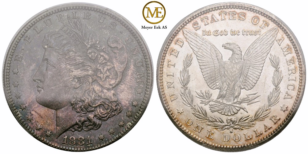 Morgan dollar 1881 S. Kv.0