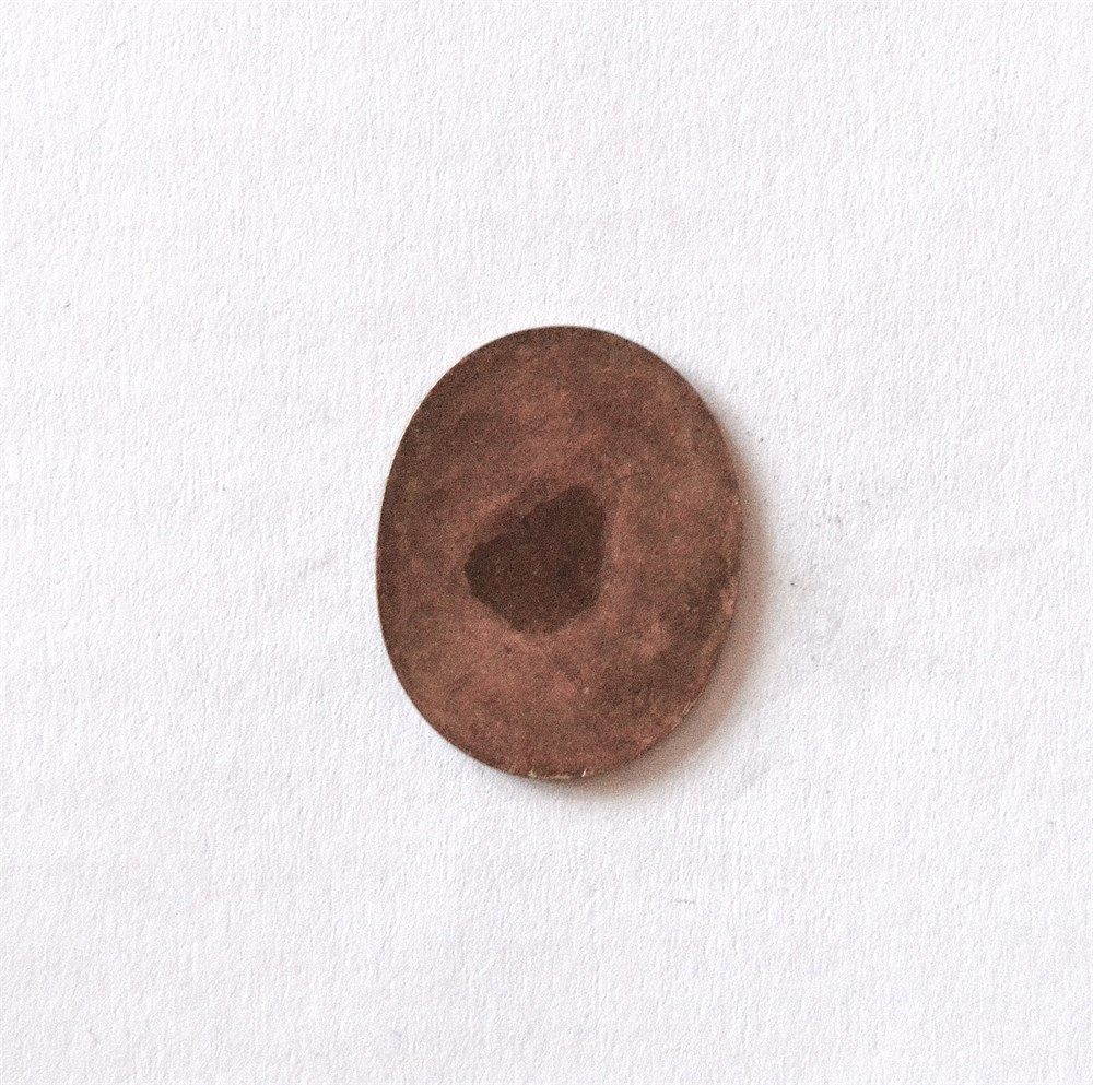 Drammens meieri 25 øre oval messing kv. 0