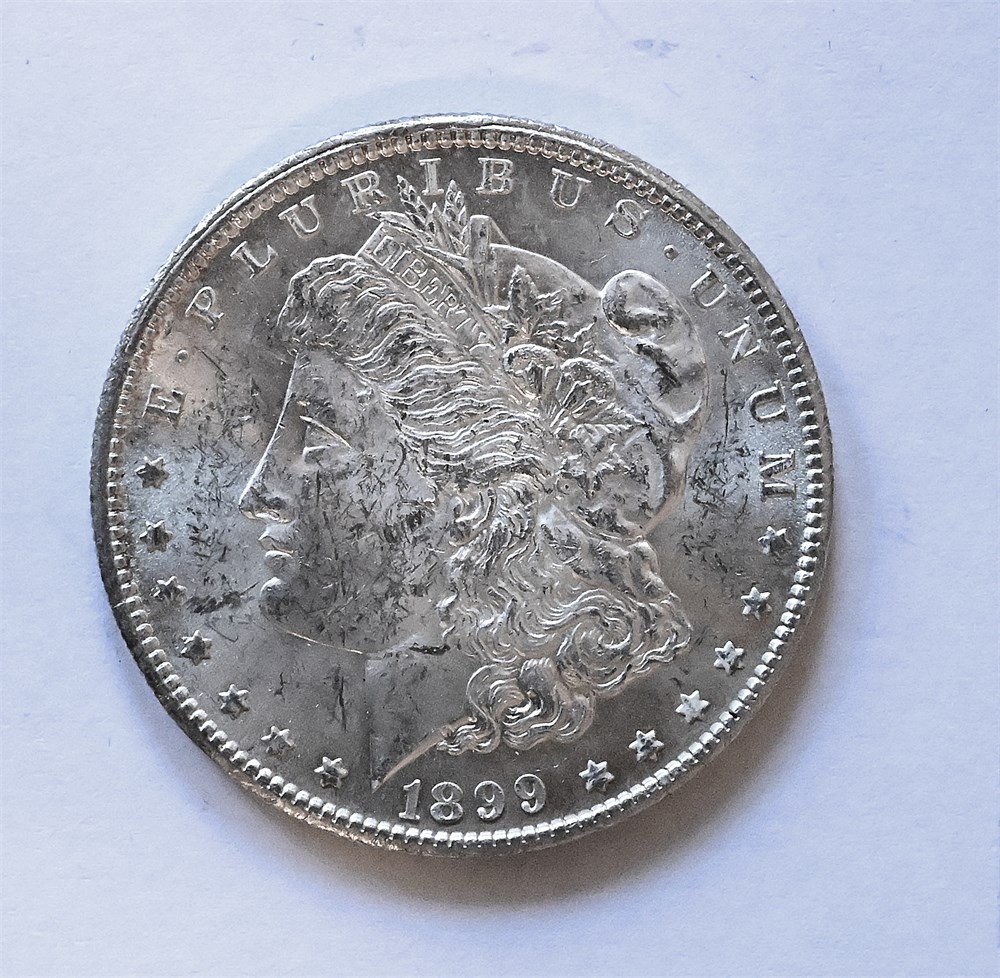 USA Morgan dollar 1899 O kv. 0/01