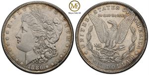 Morgan dollar 1886. Kv.01